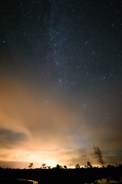 istock colorful milky way galaxy seen in night sky over trees 847322766