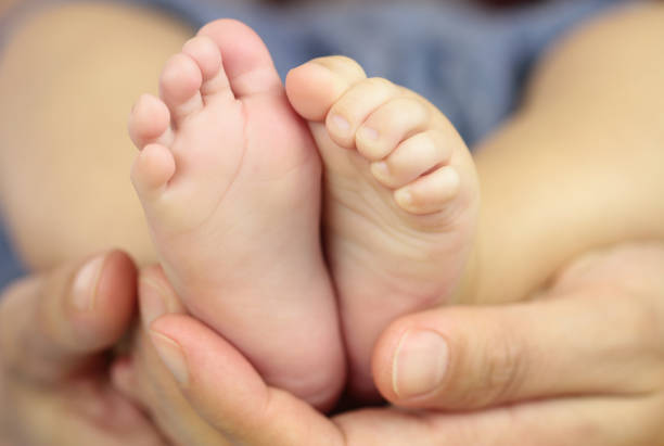 Baby feet in hands close up image