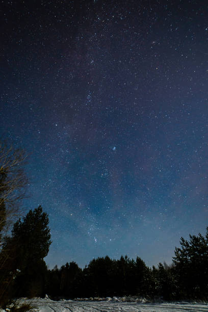istock night sky with stars in the winter night with trees 847323016