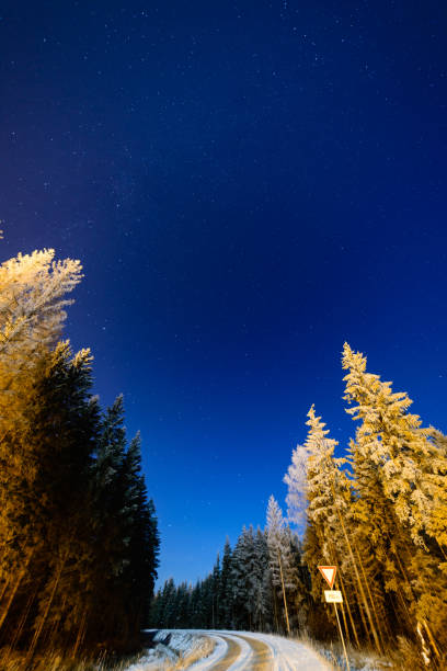 istock night sky with stars in the winter night with trees 847323080
