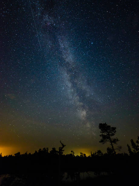 istock colorful milky way galaxy seen in night sky over trees 847325642