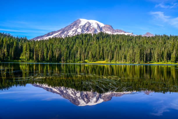 mount rainier y reflejo del lago, washington-usa - monte rainier fotografías e imágenes de stock