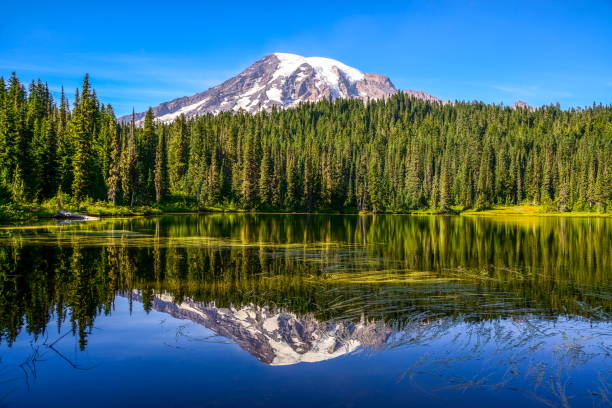 istock Mount Rainier and Reflection Lake, Washington-USA 847331174