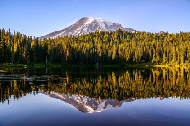 istock Mount Rainier and Reflection Lake, Washington-USA 847331300