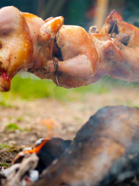 Grilled chickens Grilled chickens on skewer smoking meat rotisserie barbecue grill stock pictures, royalty-free photos & images