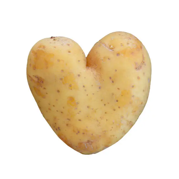 Heart shaped potato isolated on a white background