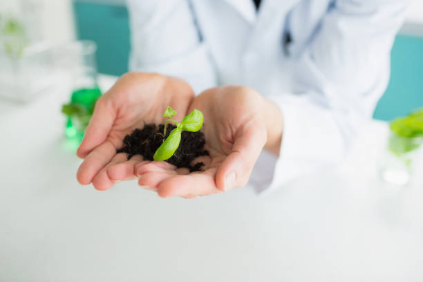 istock Woman holding soil and plants 847353912