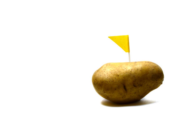 a new fresh potato with yellow flag on white background isolated