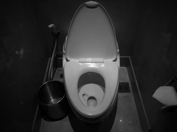 istock Toilet in black and white tone 847361972