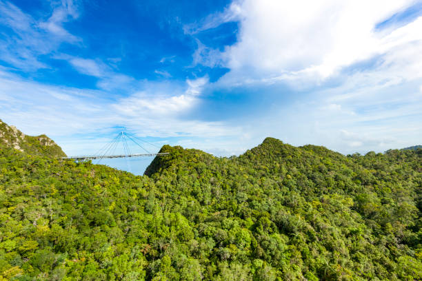 pont de vue panoramique piétons énorme à l’île de langkawi, malaisie - tropical rainforest elevated walkway pulau langkawi malaysia photos et images de collection