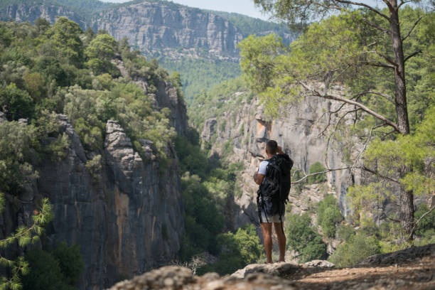 istock Traveler with backpack looks on a mountain peak 847376358