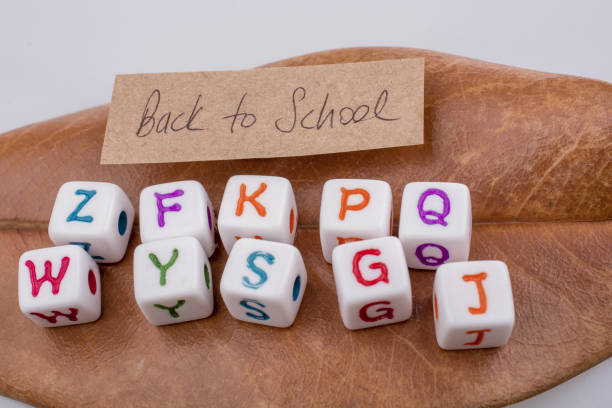 istock Back to school theme with letter cubes 847383226