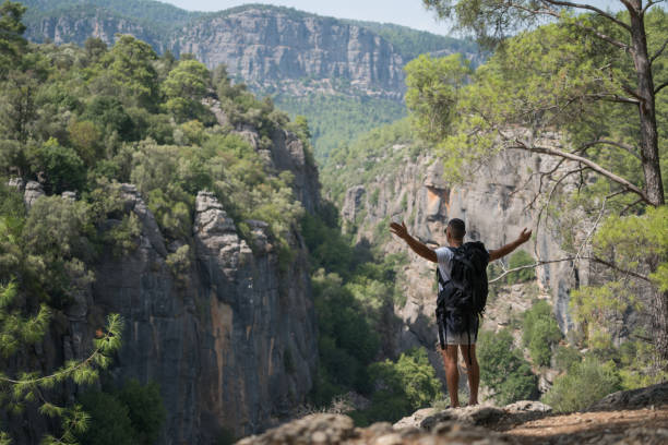 istock Traveler with backpack looks on a mountain peak 847386910