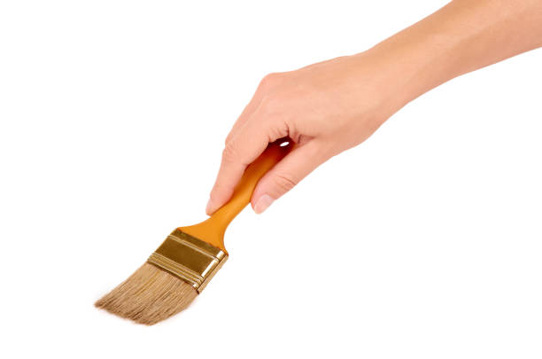 istock orange Paint brush in hand isolated on white background 847391222