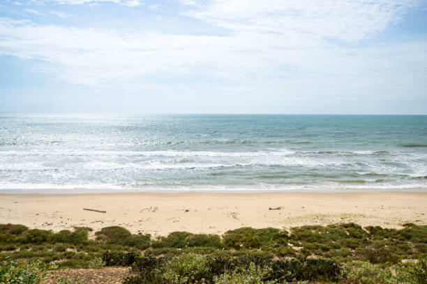 istock landscape by the sea, empty coast sand and waves. Calmness and minimalism 847396364