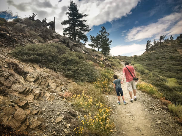 padre e hija senderismo pacific crest trail en el sur de california - mobilestock outdoors horizontal rear view fotografías e imágenes de stock