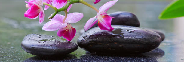 черные спа-камни и розовые цветы орхидеи - massieren стоковые фото и изображения