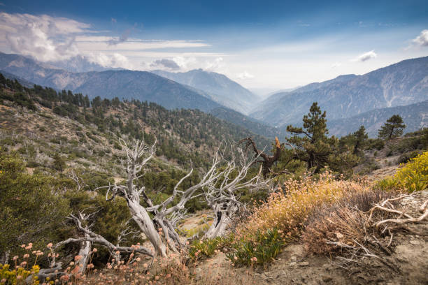 Vista de la cuenca del río de San Gabriel desde el punto de inspiración - foto de stock