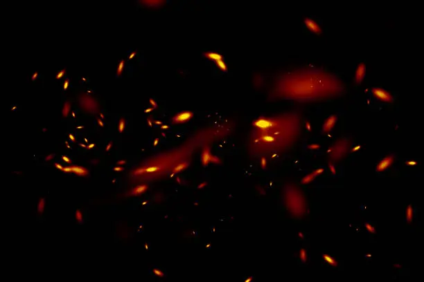 Photo of Sparks on a black background.