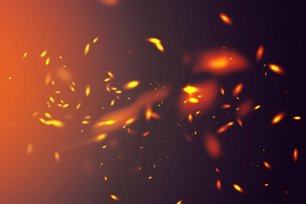 istock glitter vintage lights background. gold and black. defocused. 847404640