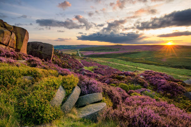 heather roxo com belo pôr do sol. - parque nacional do peak district - fotografias e filmes do acervo