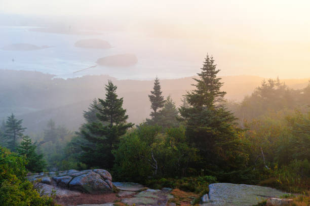 istock Misty morning Cadillac Mountain 847418352