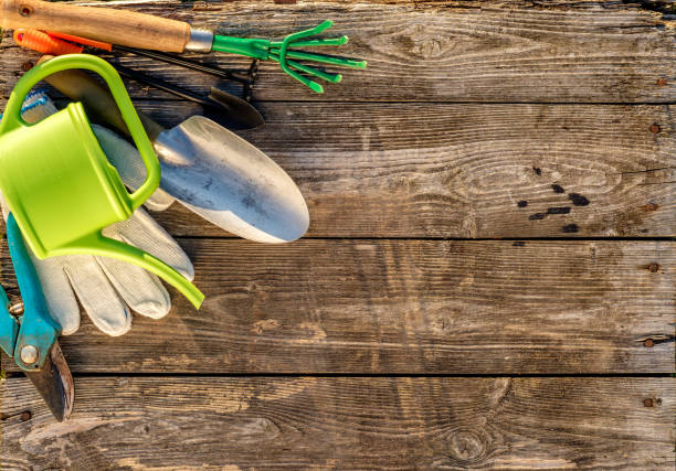 istock Gardening tools and watering can on wooden background 847425854