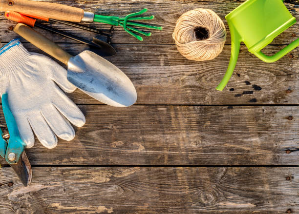 istock Gardening tools and watering can on wooden background 847425862