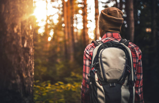 Backpacker in a forest adventure, sunlight filtering through the trees.
