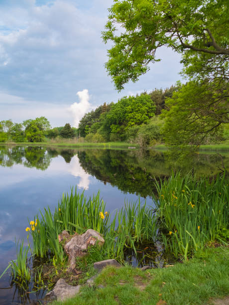 istock pond in the scottish countryside 847452720