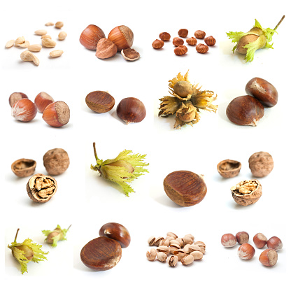 dried fruits of the forest collage on white background