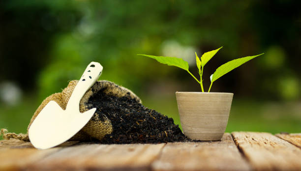 plant pot with fertilizer bag over green background stock photo