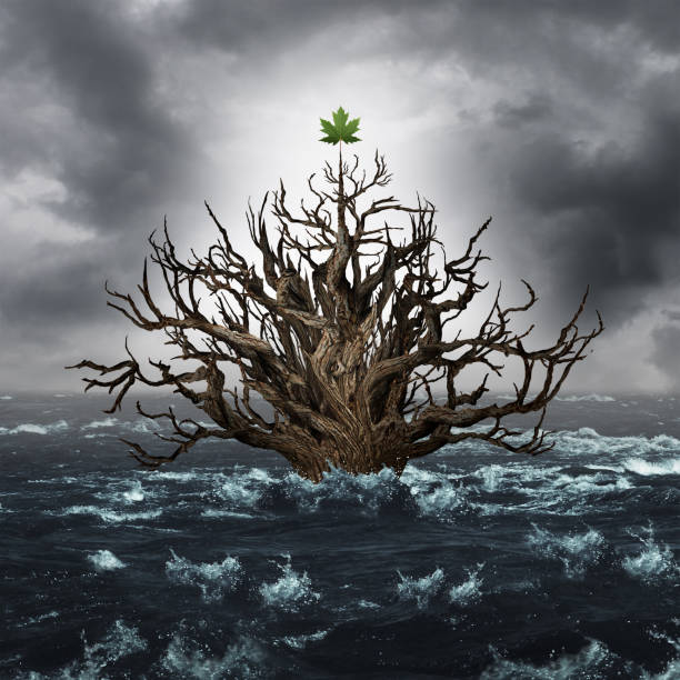 istock Concept Of Survival 847472694