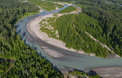 Colorful Talkeetna River runs through a dense, aspen forest in Central Alaska wilderness
