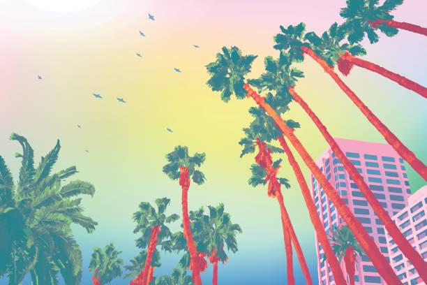 ilustrações de stock, clip art, desenhos animados e ícones de santa monica palm sky - palm tree washingtonia tree silhouette