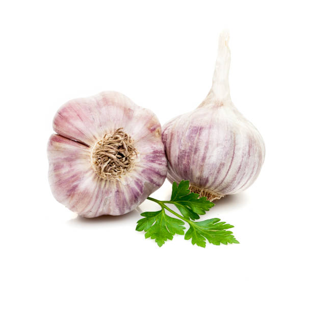 istock garlic  with parsley greenery isolated on white background 847483762