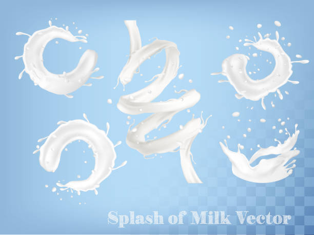 ilustraciones, imágenes clip art, dibujos animados e iconos de stock de splash de leche y sobre fondo transparente. conjunto de vectores - meals on wheels illustrations