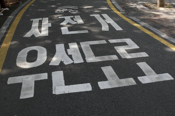 istock Bicycle lane sign and text on asphalt surface 847496340
