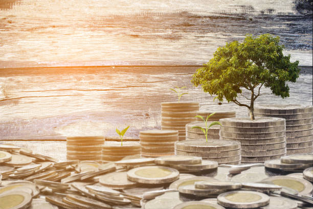 Small and Big trees growing on pile of coins money on wood background. Business success concept. Growing money concept. Small and Big trees growing on pile of coins money on wood background. Business success concept. Growing money concept. gold ira rollover guide stock pictures, royalty-free photos & images