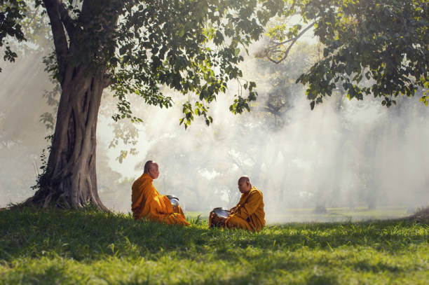 Two monks meditation under the trees with sun ray, Buddha religion concept stock photo