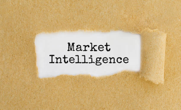 istock Text Market Intelligence appearing behind ripped brown paper 847506378