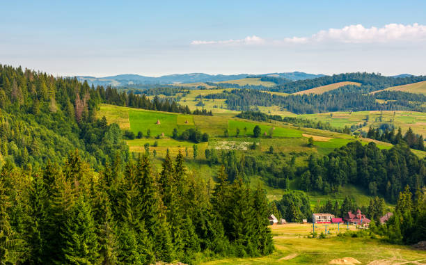 istock spruce forest on hills in countryside area 847513764
