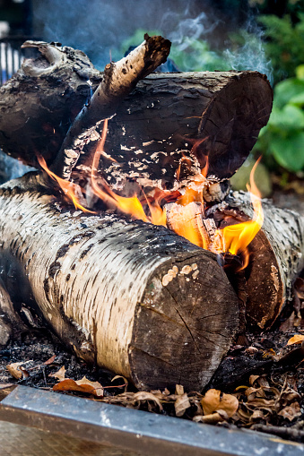 Birch logs in a fireplace burn slowly.