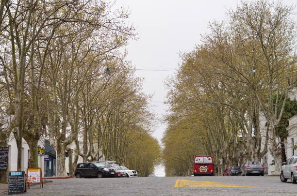 istock Streets of Sacramento 847516970