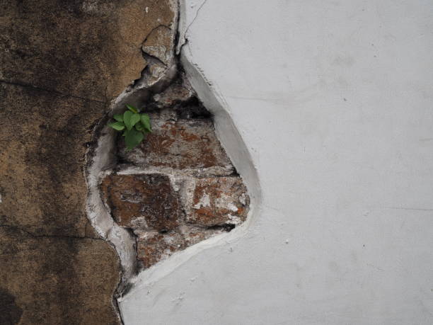 istock Old white cracked wall hole, brick stacked, plant sprout, unpainted raw cement wall 847519518