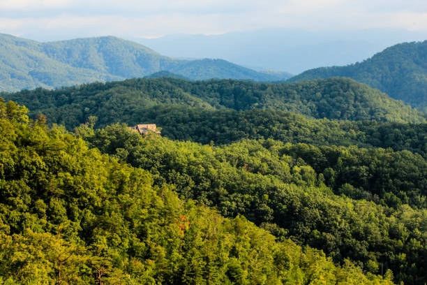 istock Idyllic summer landscape with Mountain peaks 847523284