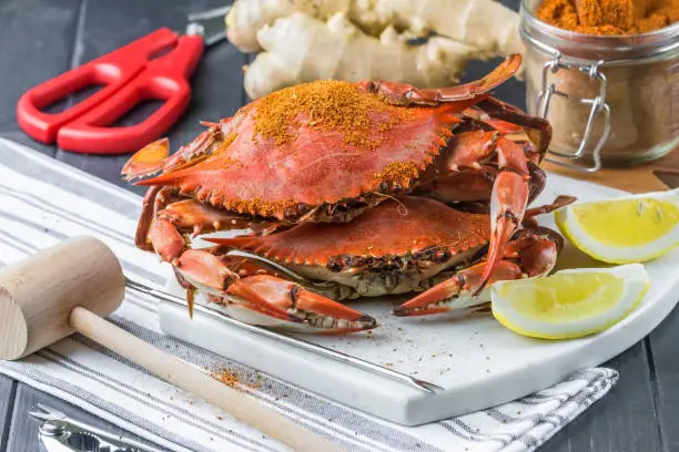 Ready to eat steamed crabs with seafood utensils. Maryland blue crabs.