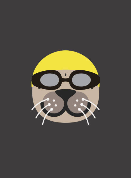 Portrait of seal, wearing swimming glasses, cool style Portrait of seal, wearing swimming glasses, cool style seal animal stock illustrations