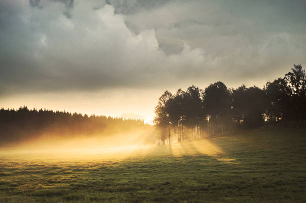Soluppgång över Fält Solen går upp mellan träden en tidig höstmorgon i Östergötland sverige ostergotland stock pictures, royalty-free photos & images