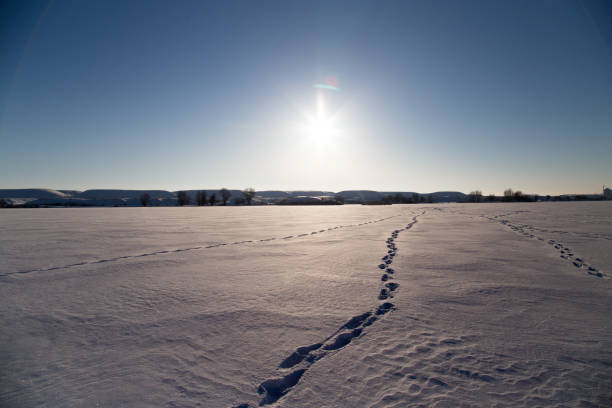 istock frozen lake in winter nature 847556782